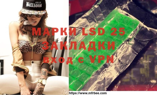 PSILOCYBIN Алзамай