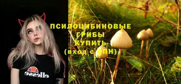 ALPHA PVP Алексин