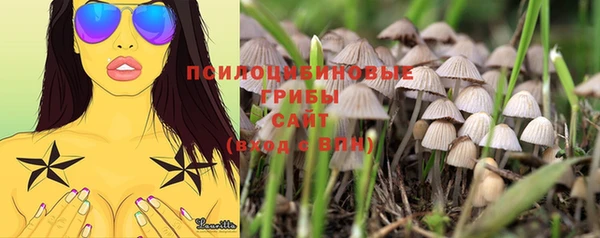 ALPHA PVP Алексин